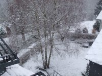 schnee2.jpg