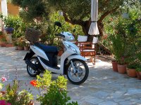 Garten-3.jpg