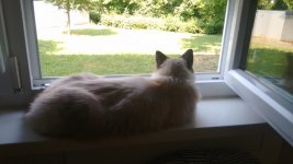 IMG_20150704_104306375.jpg