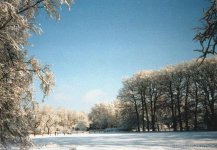 winterlandschaft-in-bremen_226281.jpg