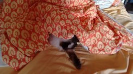 IMG_20150918_163644404.jpg