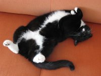 Mi Tiefschlaf (Medium).jpg