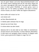 falsch2.png