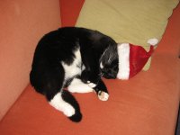 Mi Nikolaus 002.jpg