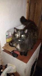 IMG_20161228_085243385.jpg